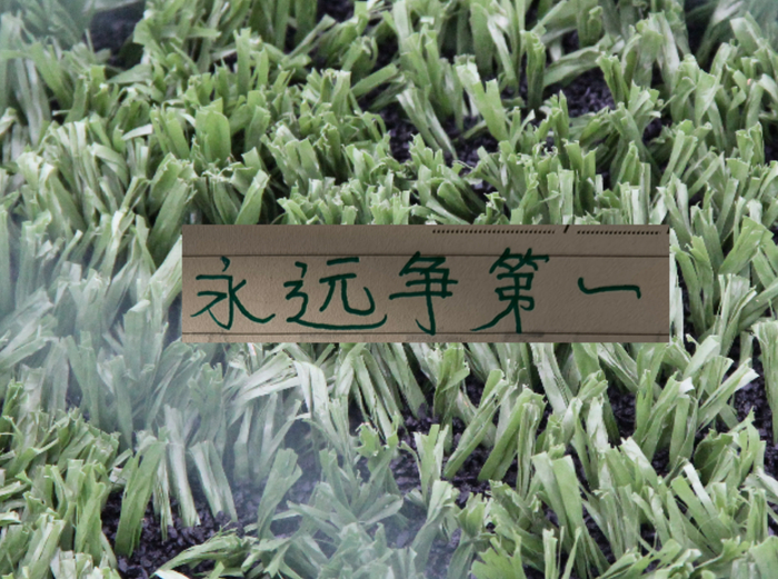 开云体育官网-青岛海牛会战胜北京国安吗|上海海港|中超|上海申花|上海申花足球俱乐部|中超联赛_新浪体育_新浪新闻